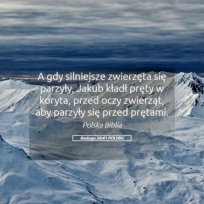 Picture 05 - Rodzaju 30:41 POLUBG - A gdy silniejsze zwierzęta się parzyły, Jakub - Bible Verse Picture