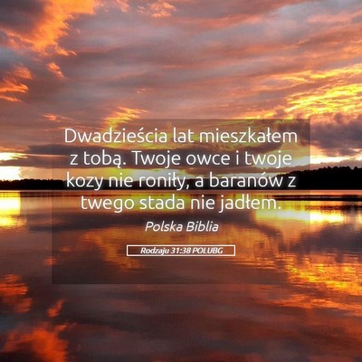 Picture 05 - Rodzaju 31:38 POLUBG - Dwadzieścia lat mieszkałem z tobą. Twoje owce - Bible Verse Picture