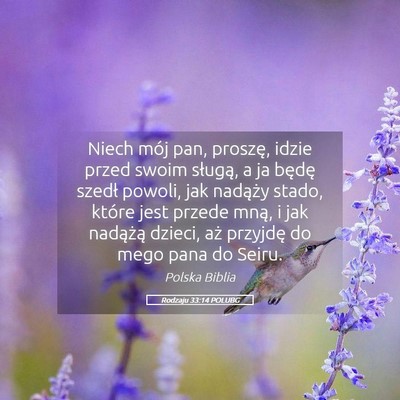 Picture 05 - Rodzaju 33:14 POLUBG - Niech mój pan, proszę, idzie przed swoim - Bible Verse Picture