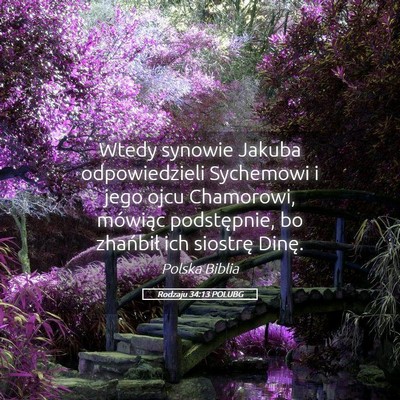 Picture 05 - Rodzaju 34:13 POLUBG - Wtedy synowie Jakuba odpowiedzieli Sychemowi i - Bible Verse Picture