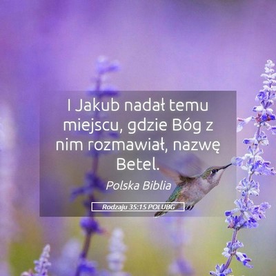 Picture 05 - Rodzaju 35:15 POLUBG - I Jakub nadał temu miejscu, gdzie Bóg z nim - Bible Verse Picture