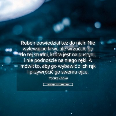 Picture 05 - Rodzaju 37:22 POLUBG - Ruben powiedział też do nich: Nie wylewajcie - Bible Verse Picture