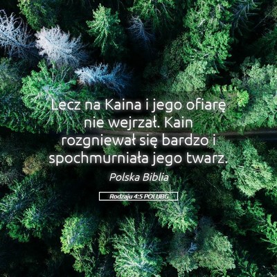 Picture 05 - Rodzaju 4:5 POLUBG - Lecz na Kaina i jego ofiarę nie wejrzał. Kain - Bible Verse Picture
