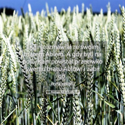 Picture 05 - Rodzaju 4:8 POLUBG - I Kain rozmawiał ze swoim bratem Ablem. A gdy - Bible Verse Picture