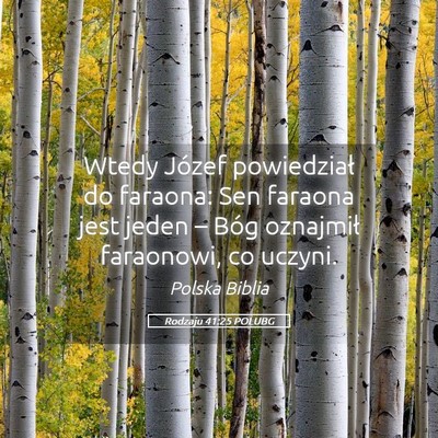 Picture 05 - Rodzaju 41:25 POLUBG - Wtedy Józef powiedział do faraona: Sen faraona - Bible Verse Picture
