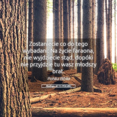 Picture 05 - Rodzaju 42:15 POLUBG - Zostaniecie co do tego wybadani: Na życie - Bible Verse Picture