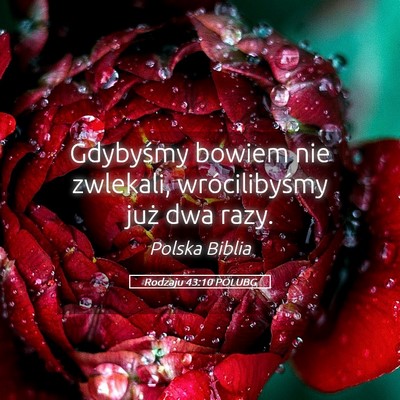 Picture 05 - Rodzaju 43:10 POLUBG - Gdybyśmy bowiem nie zwlekali, wrócilibyśmy - Bible Verse Picture