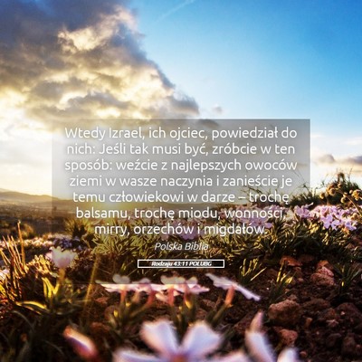 Picture 05 - Rodzaju 43:11 POLUBG - Wtedy Izrael, ich ojciec, powiedział do nich: - Bible Verse Picture