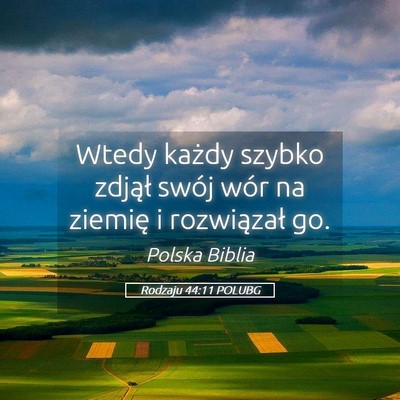 Picture 05 - Rodzaju 44:11 POLUBG - Wtedy każdy szybko zdjął swój wór na ziemię - Bible Verse Picture