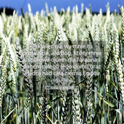 Picture 05 - Rodzaju 45:8 POLUBG - Tak więc nie wy mnie tu posłaliście, ale Bóg, - Bible Verse Picture