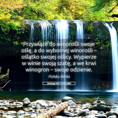 Picture 05 - Rodzaju 49:11 POLUBG - Przywiąże do winorośli swoje oślę, a do - Bible Verse Picture