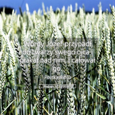 Picture 05 - Rodzaju 50:1 POLUBG - Wtedy Józef przypadł do twarzy swego ojca i - Bible Verse Picture