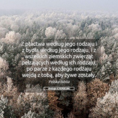 Picture 05 - Rodzaju 6:20 POLUBG - Z ptactwa według jego rodzaju i z bydła według - Bible Verse Picture