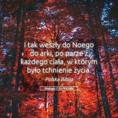 Picture 05 - Rodzaju 7:15 POLUBG - I tak weszły do Noego do arki, po parze z - Bible Verse Picture