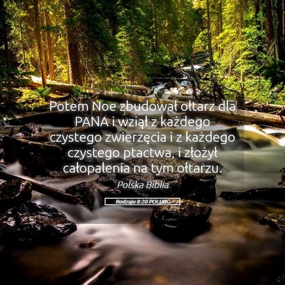 Picture 05 - Rodzaju 8:20 POLUBG - Potem Noe zbudował ołtarz dla PANA i wziął z - Bible Verse Picture