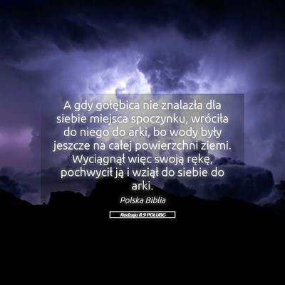 Picture 05 - Rodzaju 8:9 POLUBG - A gdy gołębica nie znalazła dla siebie miejsca - Bible Verse Picture