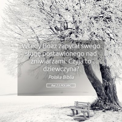 Picture 05 - Rut 2:5 POLUBG - Wtedy Boaz zapytał swego sługę postawionego - Bible Verse Picture