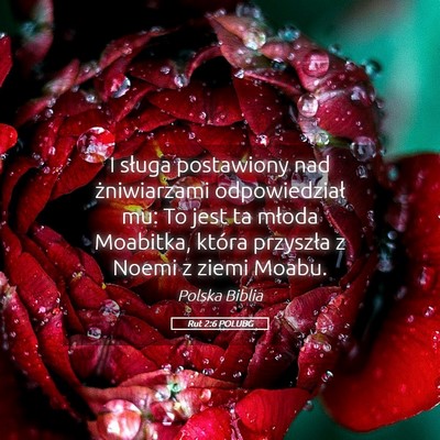 Picture 05 - Rut 2:6 POLUBG - I sługa postawiony nad żniwiarzami - Bible Verse Picture