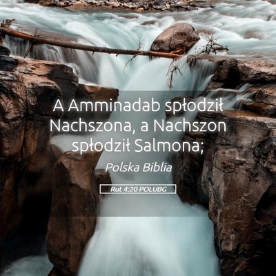Picture 05 - Rut 4:20 POLUBG - A Amminadab spłodził Nachszona, a Nachszon - Bible Verse Picture