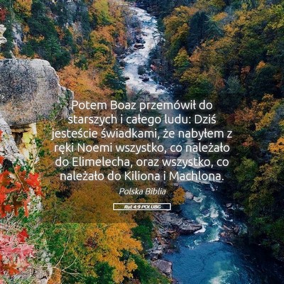 Picture 05 - Rut 4:9 POLUBG - Potem Boaz przemówił do starszych i całego - Bible Verse Picture