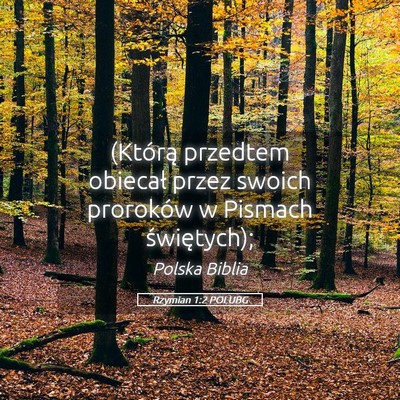 Picture 05 - Rzymian 1:2 POLUBG - (Którą przedtem obiecał przez swoich proroków - Bible Verse Picture