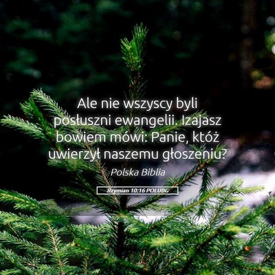 Picture 05 - Rzymian 10:16 POLUBG - Ale nie wszyscy byli posłuszni ewangelii. - Bible Verse Picture