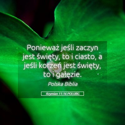 Picture 05 - Rzymian 11:16 POLUBG - Ponieważ jeśli zaczyn jest święty, to i - Bible Verse Picture
