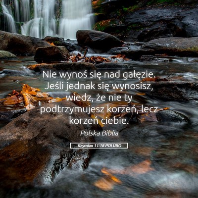 Picture 05 - Rzymian 11:18 POLUBG - Nie wynoś się nad gałęzie. Jeśli jednak się - Bible Verse Picture