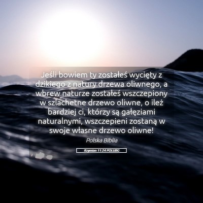 Picture 05 - Rzymian 11:24 POLUBG - Jeśli bowiem ty zostałeś wycięty z dzikiego z - Bible Verse Picture