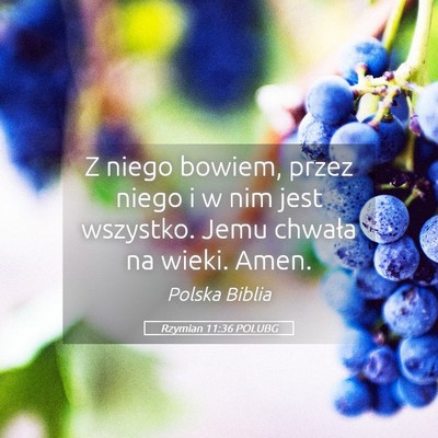 Picture 05 - Rzymian 11:36 POLUBG - Z niego bowiem, przez niego i w nim jest - Bible Verse Picture