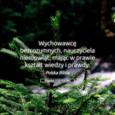 Picture 05 - Rzymian 2:20 POLUBG - Wychowawcę bezrozumnych, nauczyciela niemowląt, - Bible Verse Picture