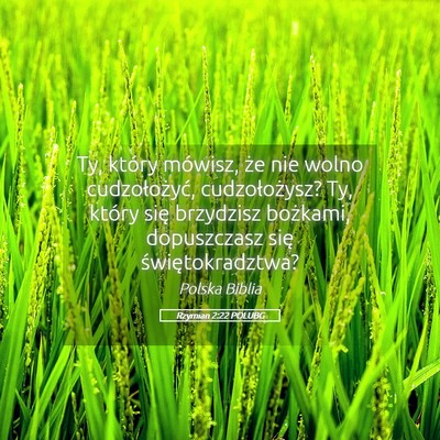 Picture 05 - Rzymian 2:22 POLUBG - Ty, który mówisz, że nie wolno cudzołożyć, - Bible Verse Picture