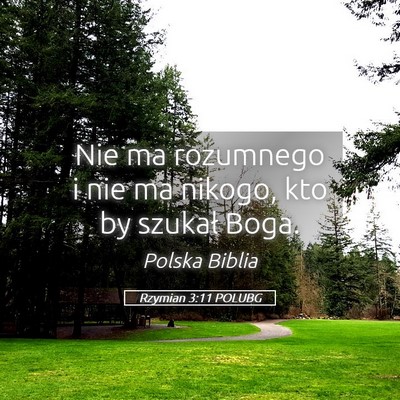 Picture 05 - Rzymian 3:11 POLUBG - Nie ma rozumnego i nie ma nikogo, kto by szukał - Bible Verse Picture