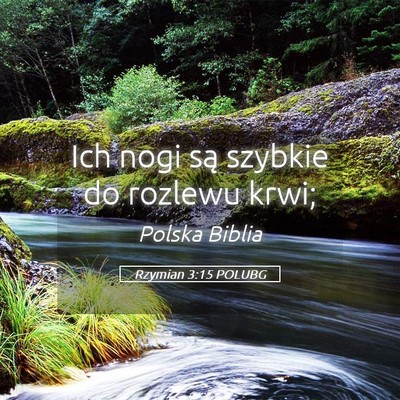 Picture 05 - Rzymian 3:15 POLUBG - Ich nogi są szybkie do rozlewu - Bible Verse Picture