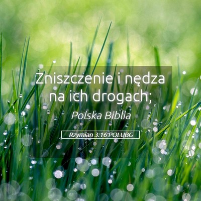 Picture 05 - Rzymian 3:16 POLUBG - Zniszczenie i nędza na ich - Bible Verse Picture
