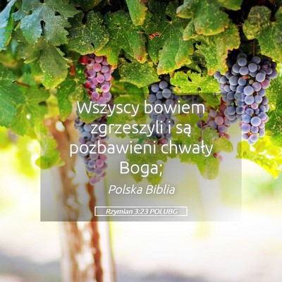 Picture 05 - Rzymian 3:23 POLUBG - Wszyscy bowiem zgrzeszyli i są pozbawieni - Bible Verse Picture