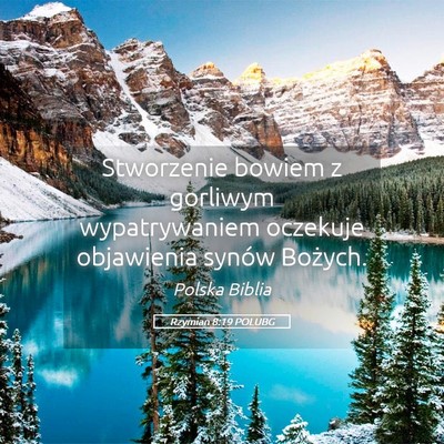Picture 05 - Rzymian 8:19 POLUBG - Stworzenie bowiem z gorliwym wypatrywaniem - Bible Verse Picture
