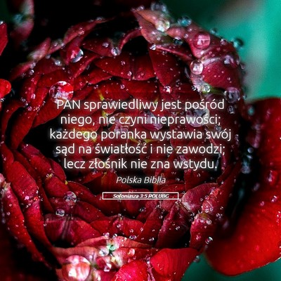 Picture 05 - Sofoniasza 3:5 POLUBG - PAN sprawiedliwy jest pośród niego, nie czyni - Bible Verse Picture