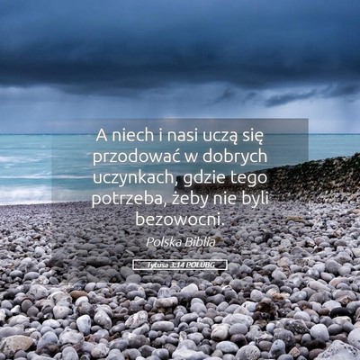Picture 05 - Tytusa 3:14 POLUBG - A niech i nasi uczą się przodować w dobrych - Bible Verse Picture
