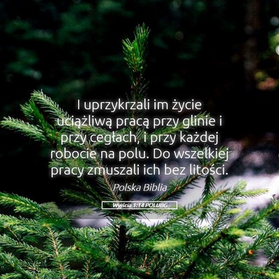 Picture 05 - Wyjścia 1:14 POLUBG - I uprzykrzali im życie uciążliwą pracą przy - Bible Verse Picture