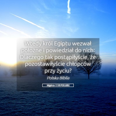 Picture 05 - Wyjścia 1:18 POLUBG - Wtedy król Egiptu wezwał położne i - Bible Verse Picture