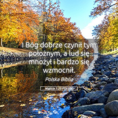 Picture 05 - Wyjścia 1:20 POLUBG - I Bóg dobrze czynił tym położnym, a lud się - Bible Verse Picture