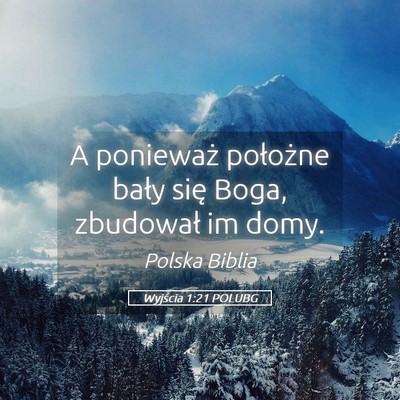 Picture 05 - Wyjścia 1:21 POLUBG - A ponieważ położne bały się Boga, zbudował - Bible Verse Picture