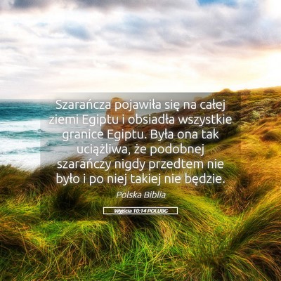 Picture 05 - Wyjścia 10:14 POLUBG - Szarańcza pojawiła się na całej ziemi Egiptu - Bible Verse Picture