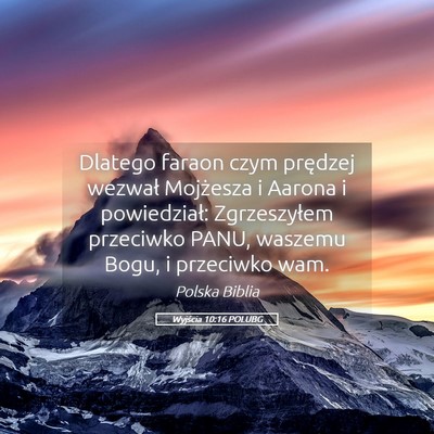 Picture 05 - Wyjścia 10:16 POLUBG - Dlatego faraon czym prędzej wezwał Mojżesza i - Bible Verse Picture
