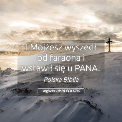 Picture 05 - Wyjścia 10:18 POLUBG - I Mojżesz wyszedł od faraona i wstawił się u - Bible Verse Picture