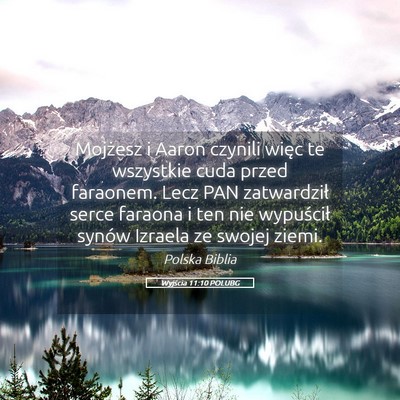 Picture 05 - Wyjścia 11:10 POLUBG - Mojżesz i Aaron czynili więc te wszystkie cuda - Bible Verse Picture