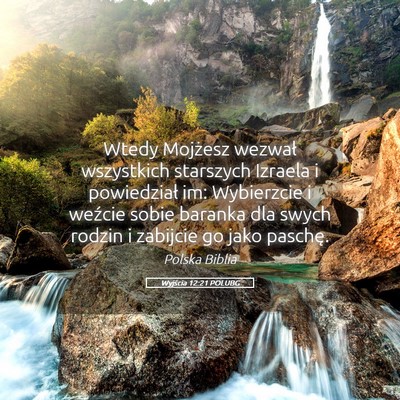 Picture 05 - Wyjścia 12:21 POLUBG - Wtedy Mojżesz wezwał wszystkich starszych - Bible Verse Picture