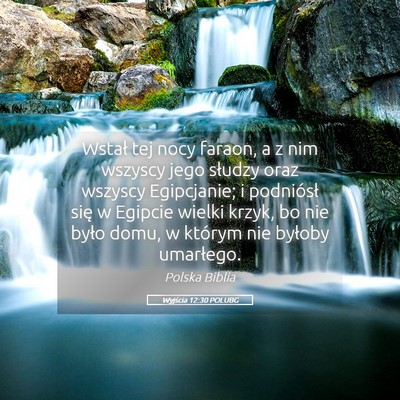Picture 05 - Wyjścia 12:30 POLUBG - Wstał tej nocy faraon, a z nim wszyscy jego - Bible Verse Picture
