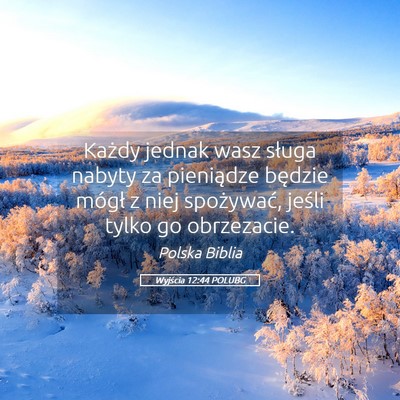 Picture 05 - Wyjścia 12:44 POLUBG - Każdy jednak wasz sługa nabyty za pieniądze - Bible Verse Picture